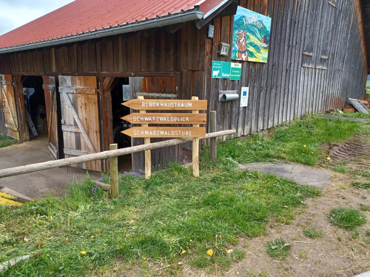 Schwarzwaldstube Διαμέρισμα Titisee-Neustadt Εξωτερικό φωτογραφία