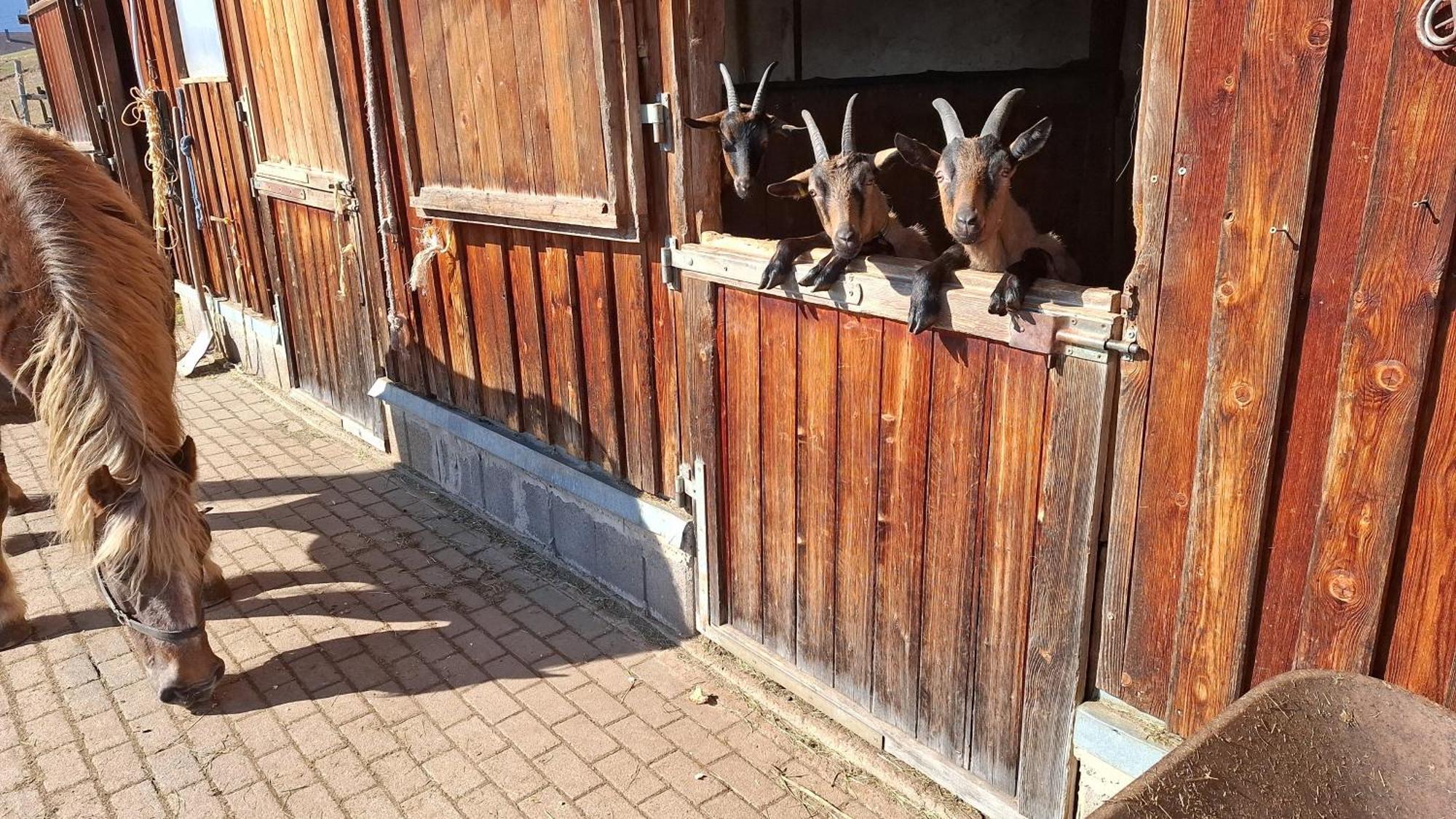 Schwarzwaldstube Διαμέρισμα Titisee-Neustadt Εξωτερικό φωτογραφία